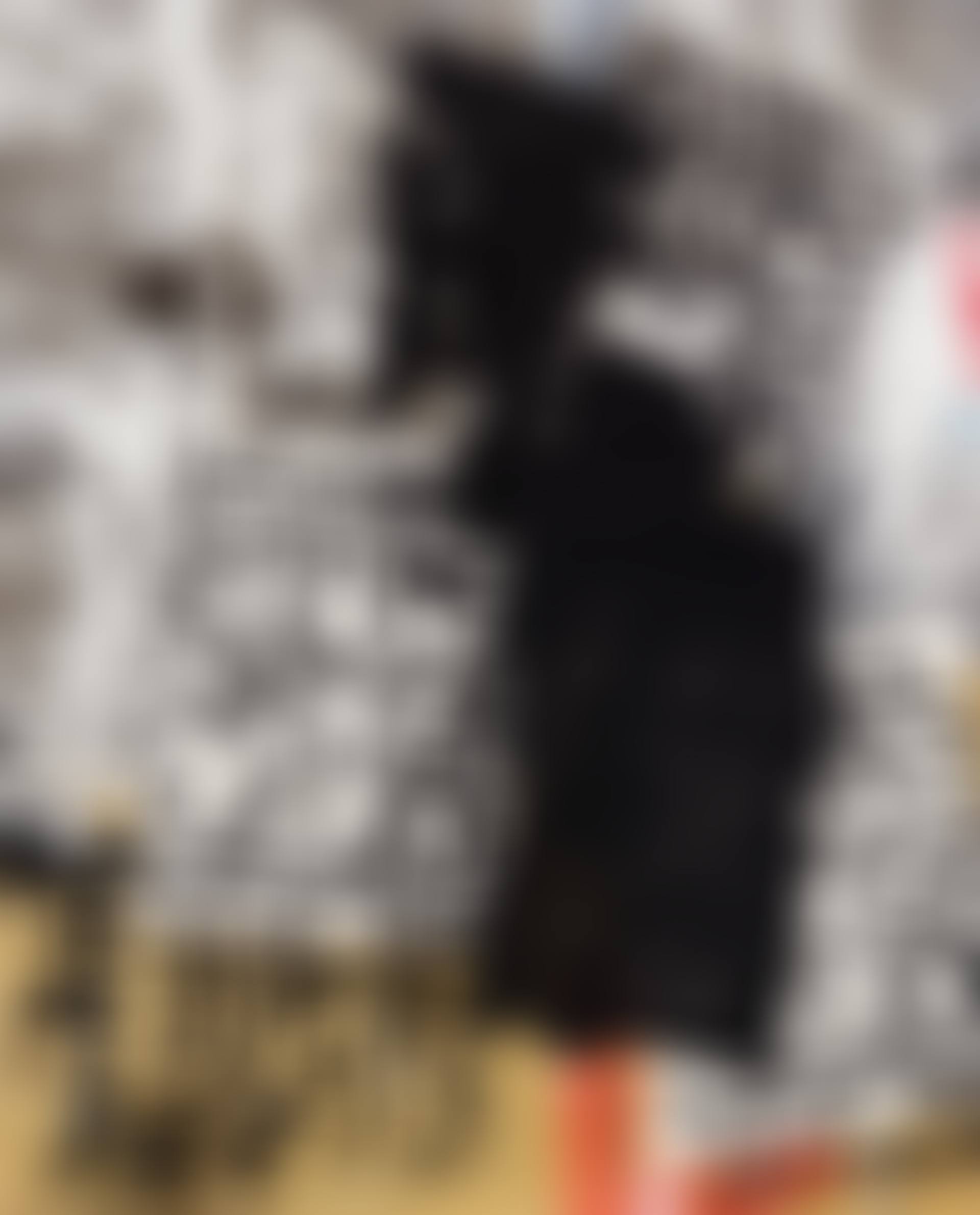 Untitled (Chicago Collage) (preview)