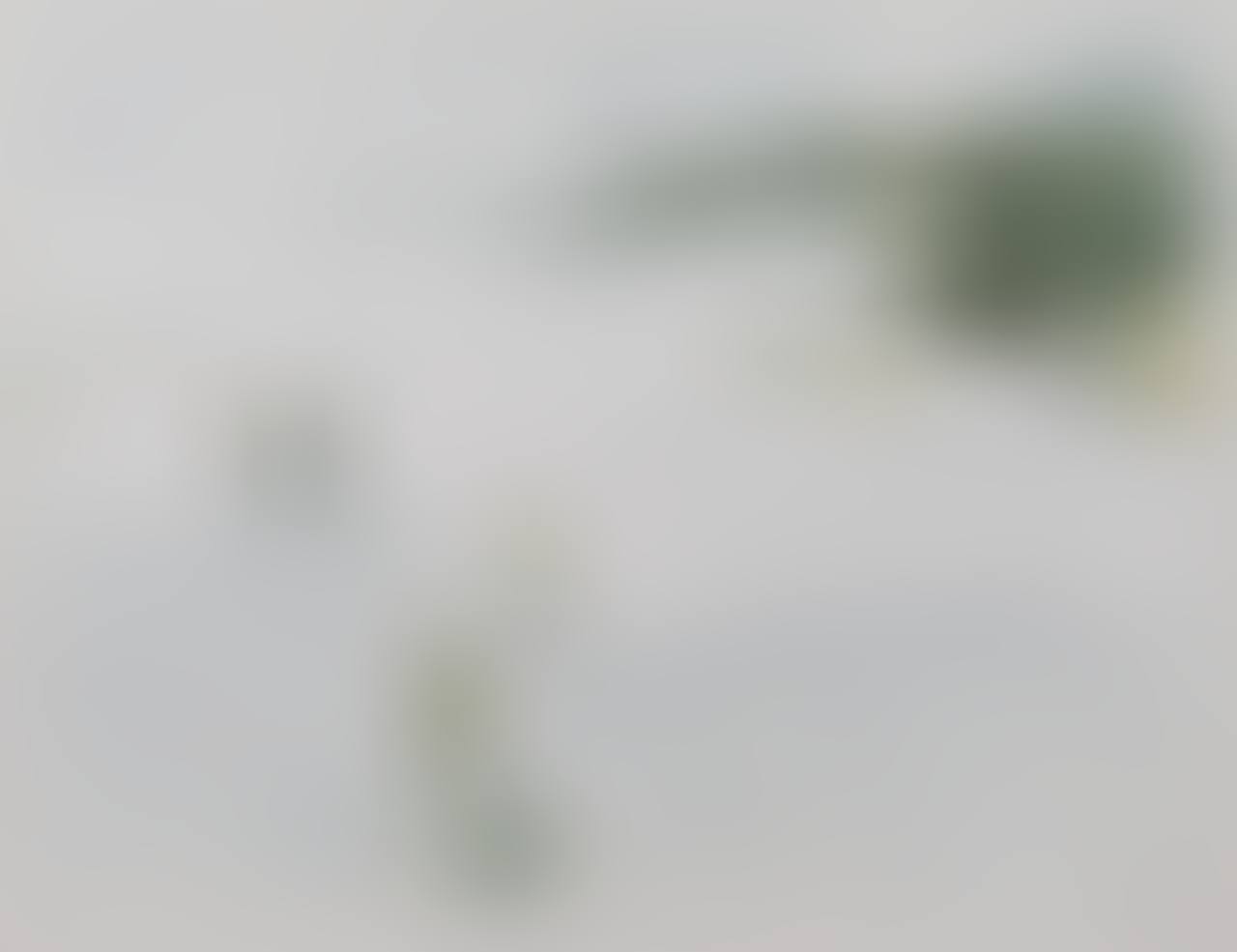 Skiing (preview)