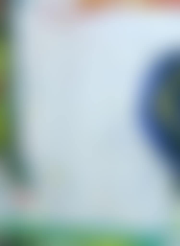 SAIL (preview)