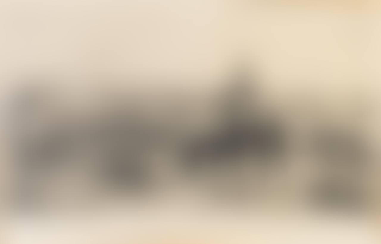 A framed engraving titled The Remnants of an Army (preview)