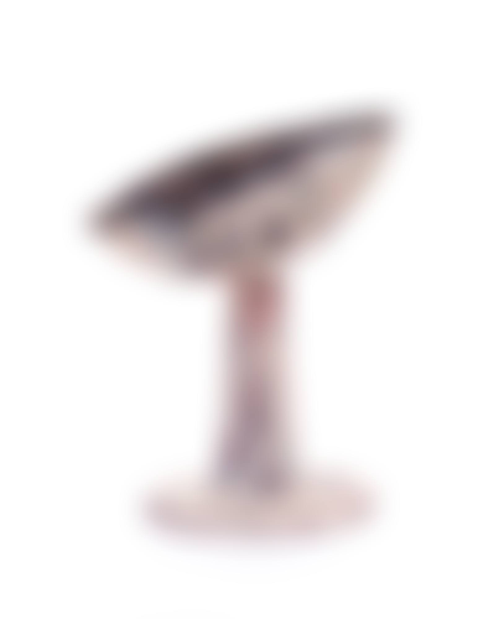 Coppa (preview)