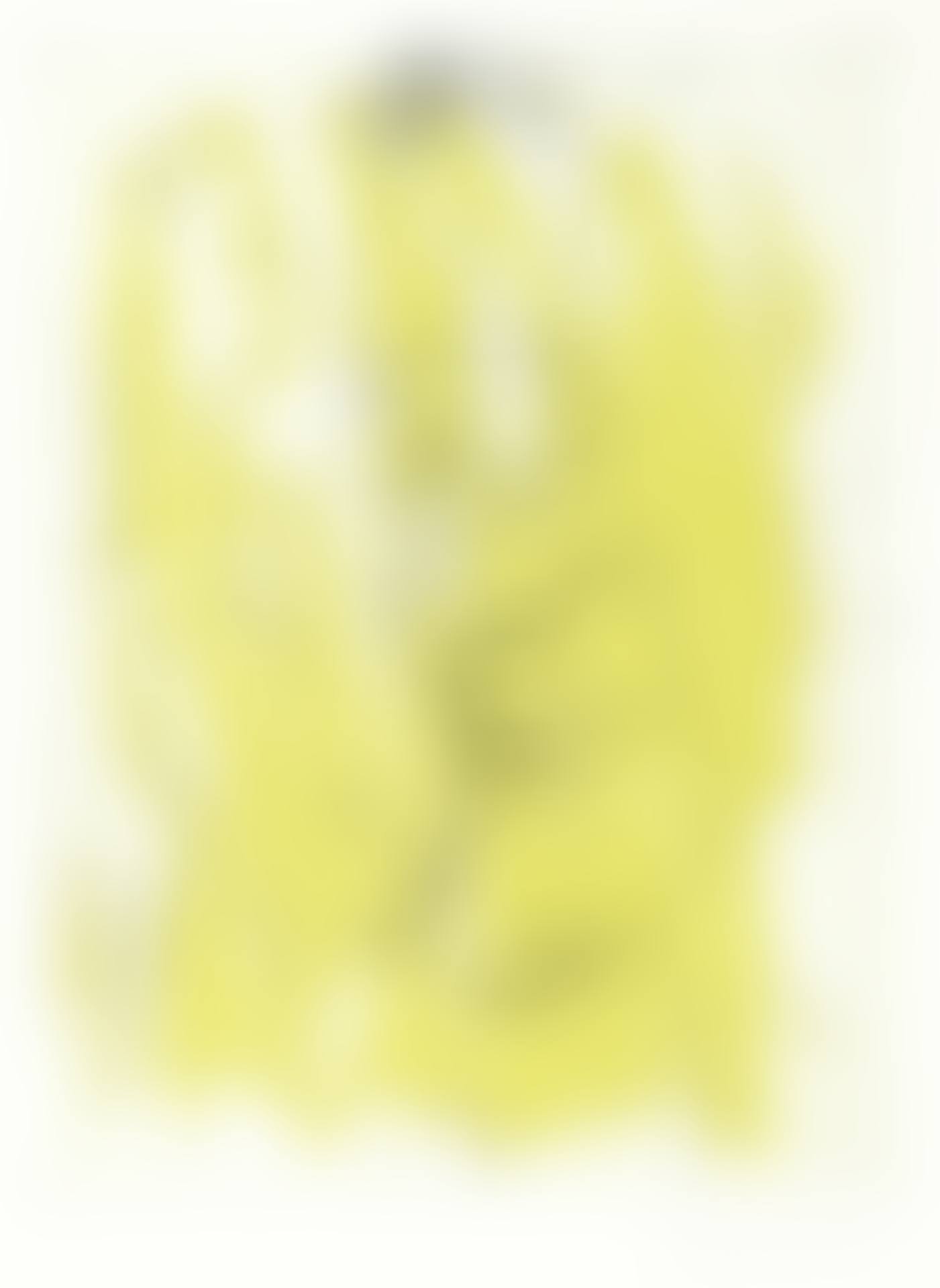 Untitled, from "Schlafende Hunde" (preview)