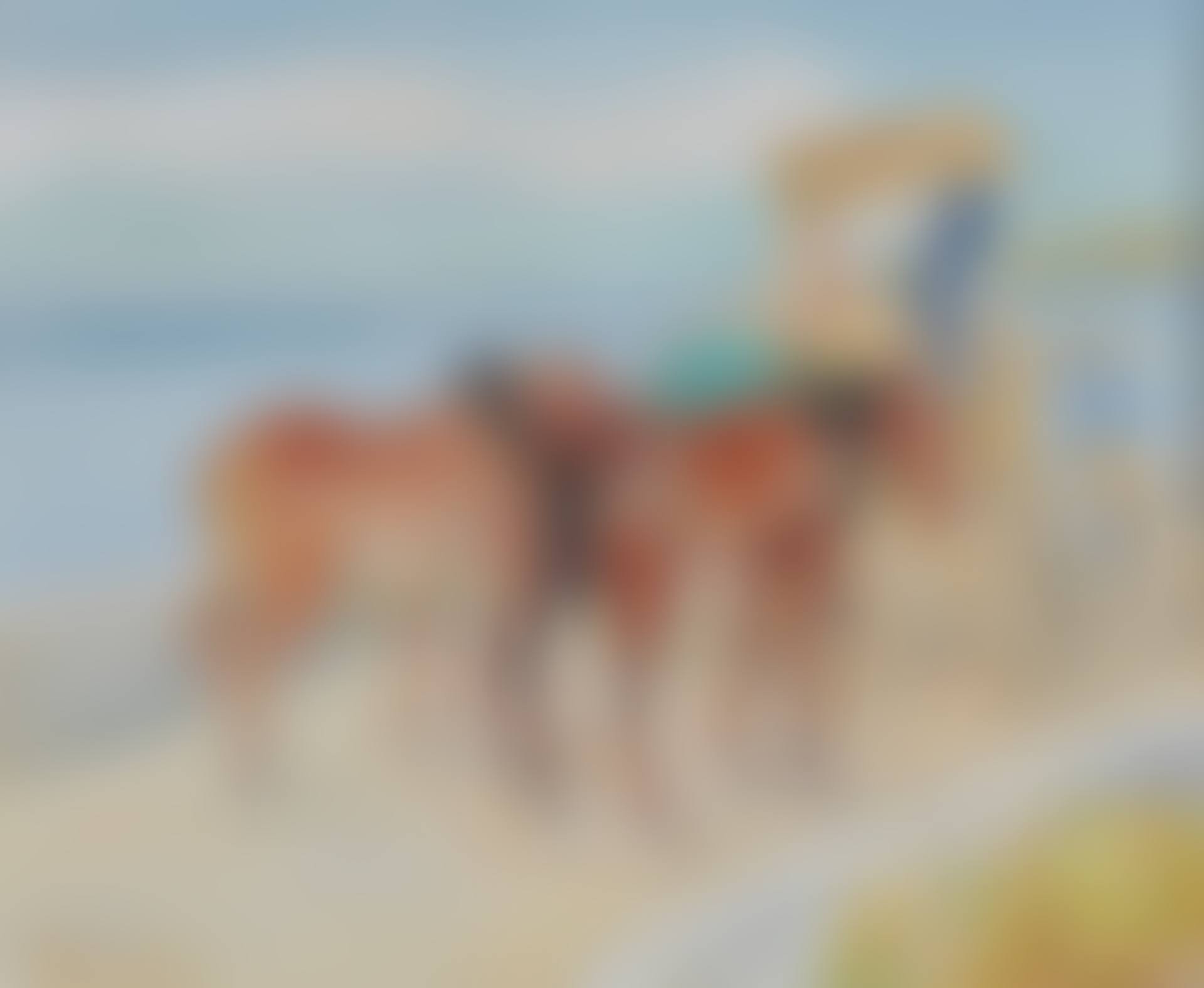 Chevaux de Vendanges (preview)