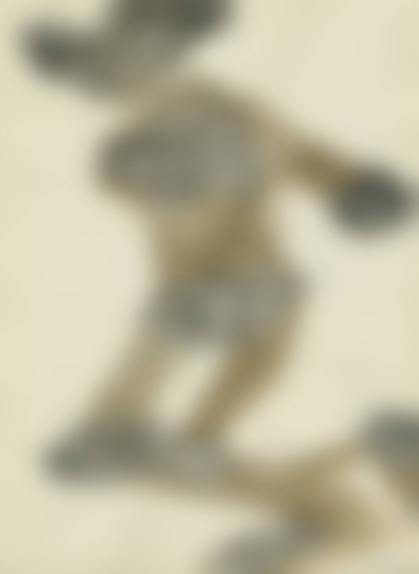 Der Springer (preview)