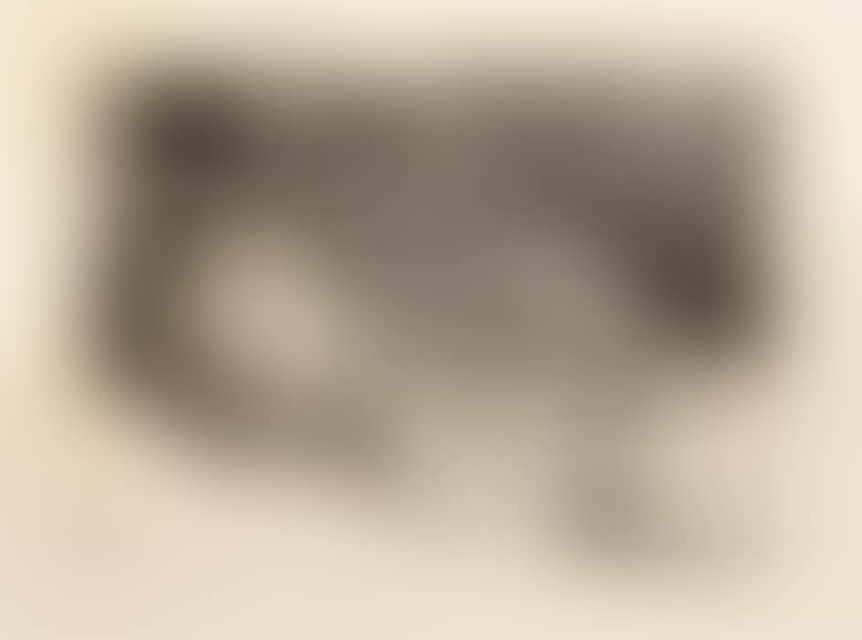 Nature morte au compotier (preview)