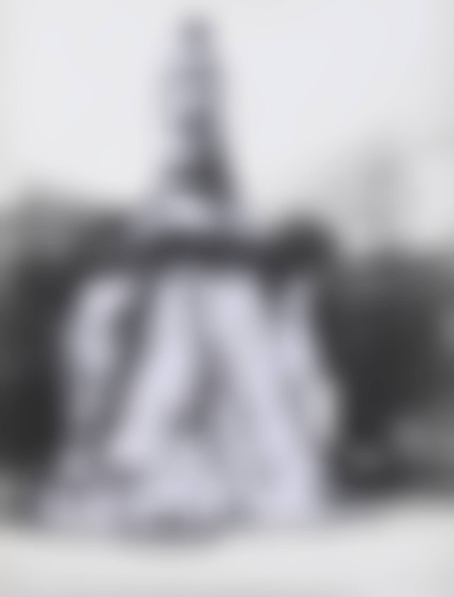 Wrapped Monument to Leonardo (Project for Piazza della Scala Milano) (preview)