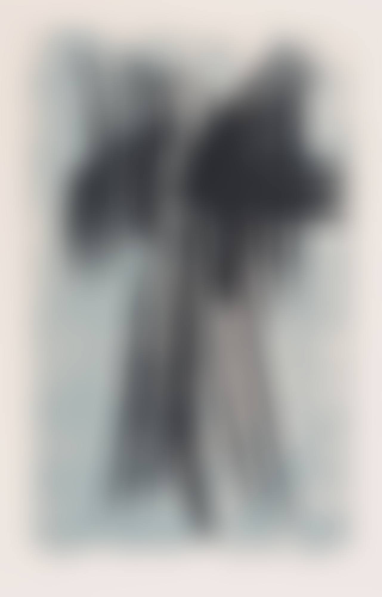 L 26 (preview)
