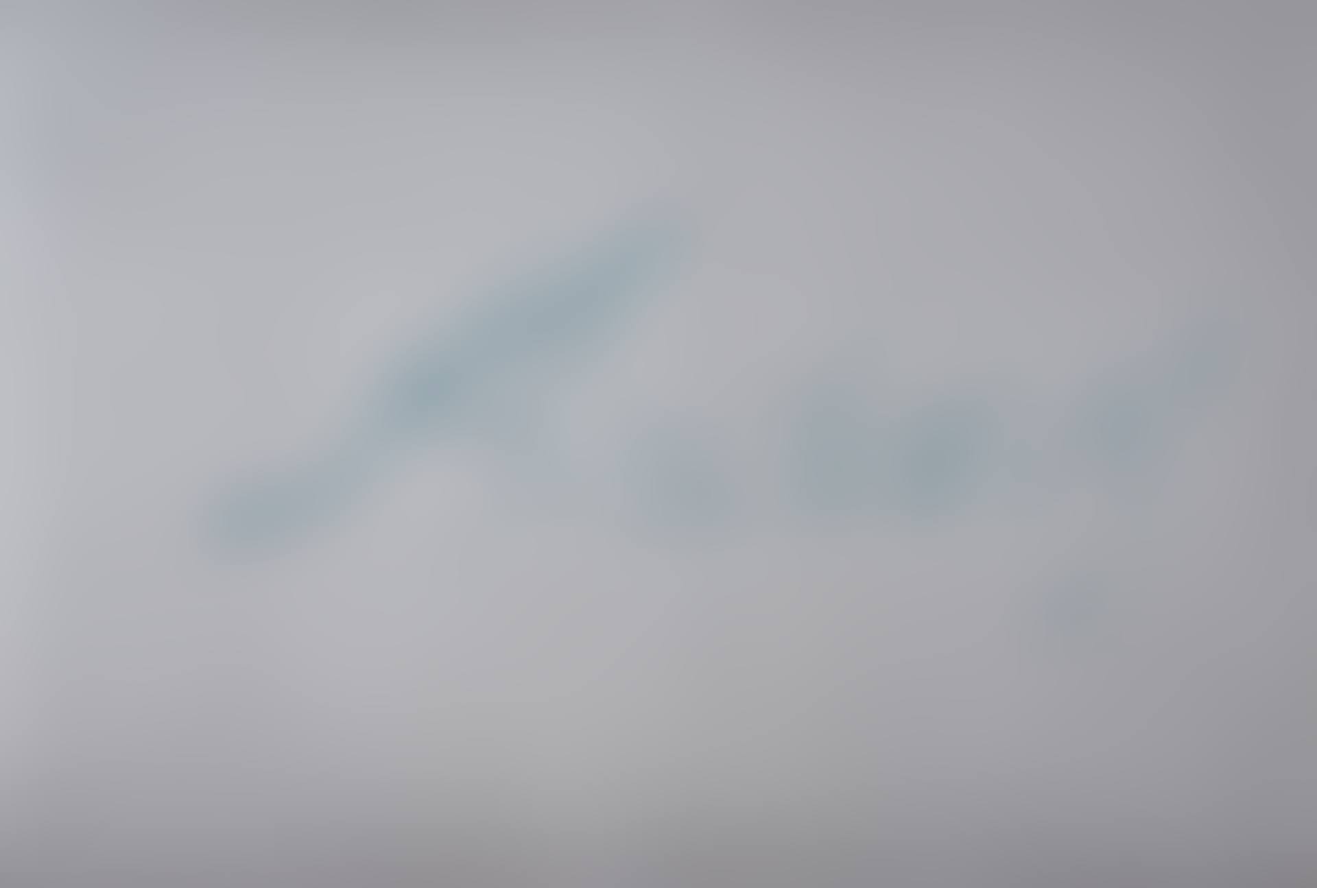 Anchovy (preview)