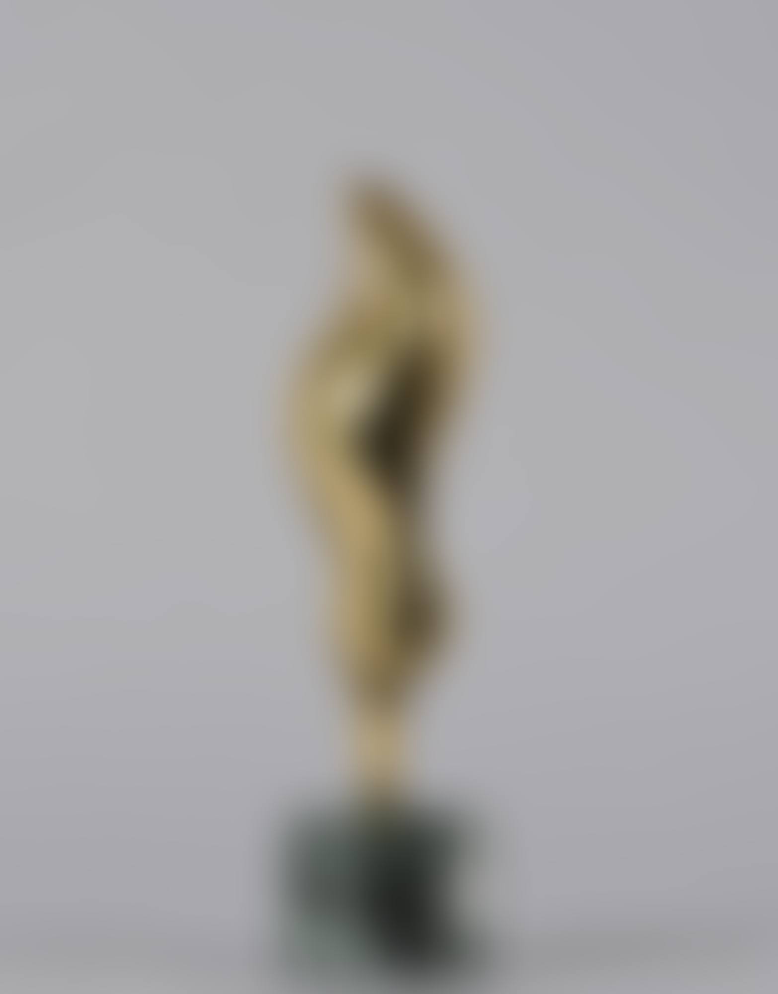 L"oiseau en plongée (preview)