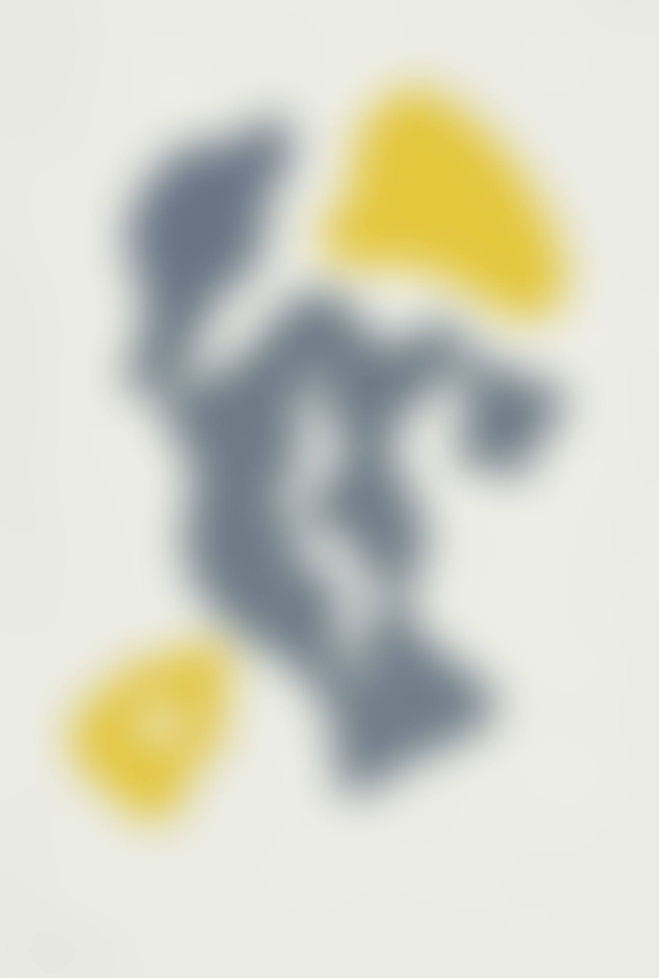 Ceuillette (preview)