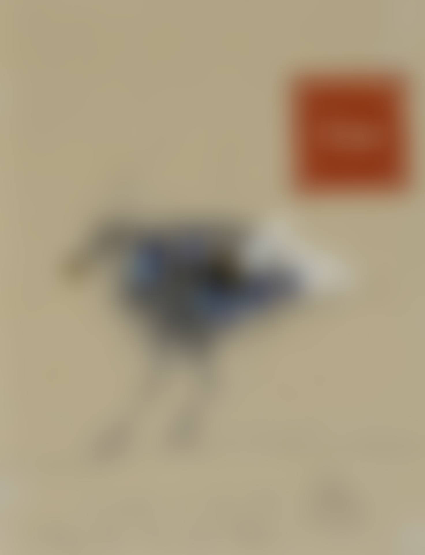 Oiseau (preview)