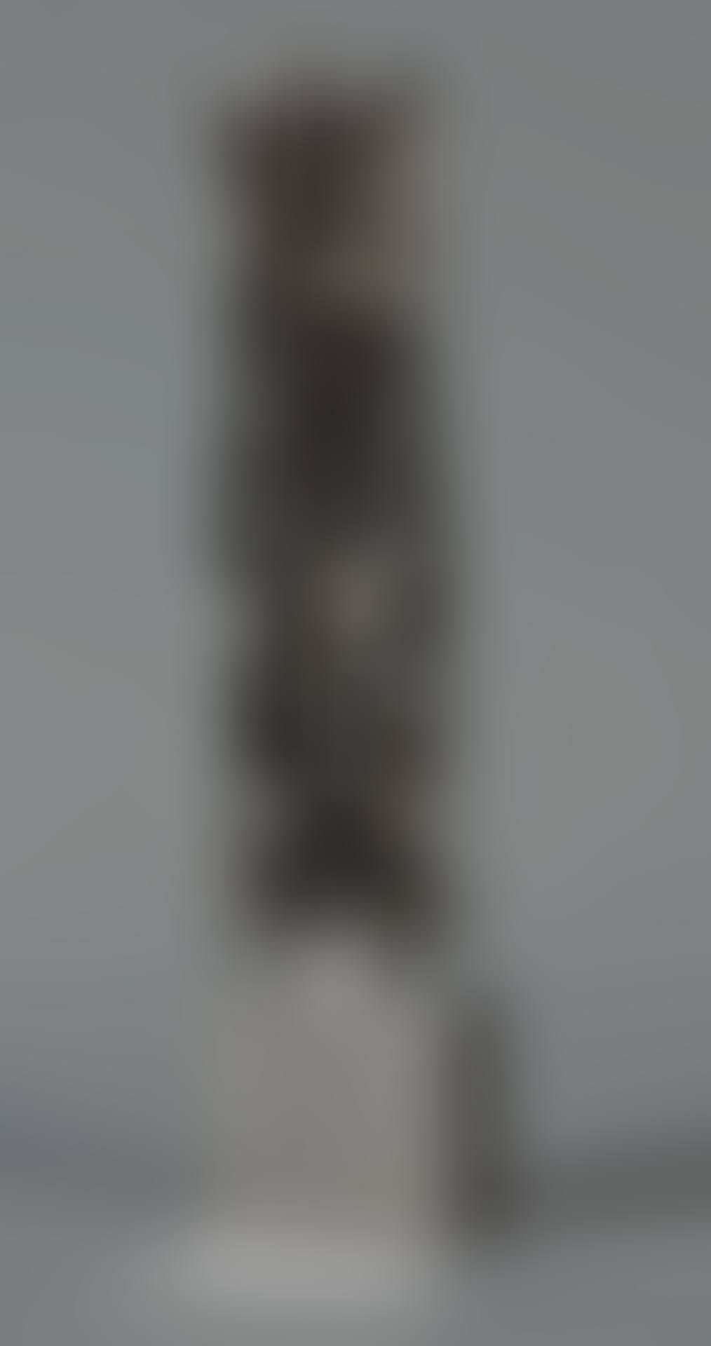 Sculturina (preview)