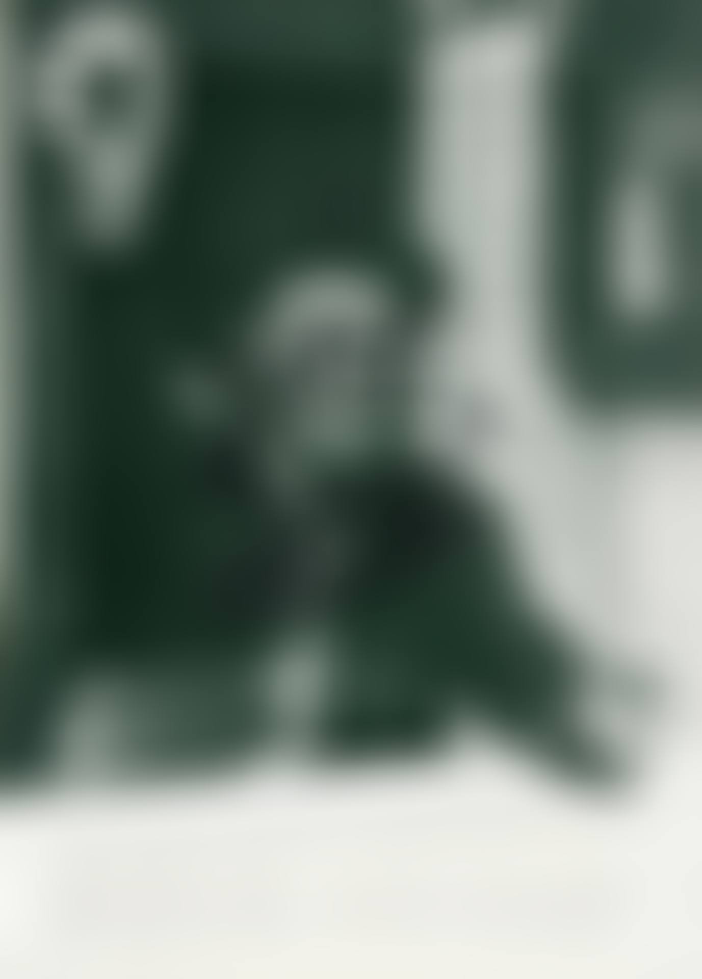 Marcel Duchamp (preview)