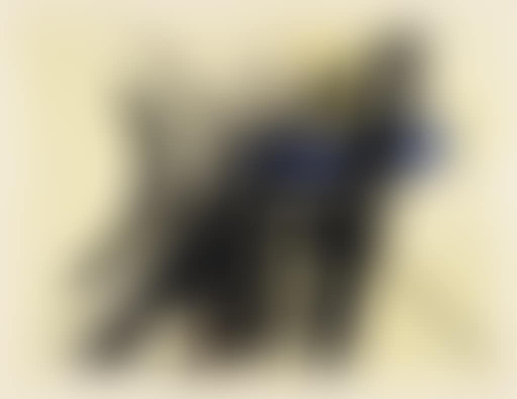 Composition "1" (preview)