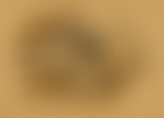 Nature morte (preview)