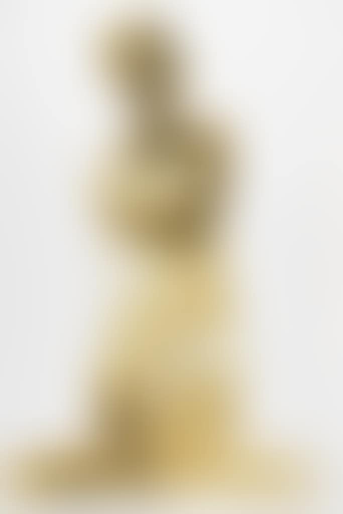 Marilyn Monroe (Last Sitting) (preview)