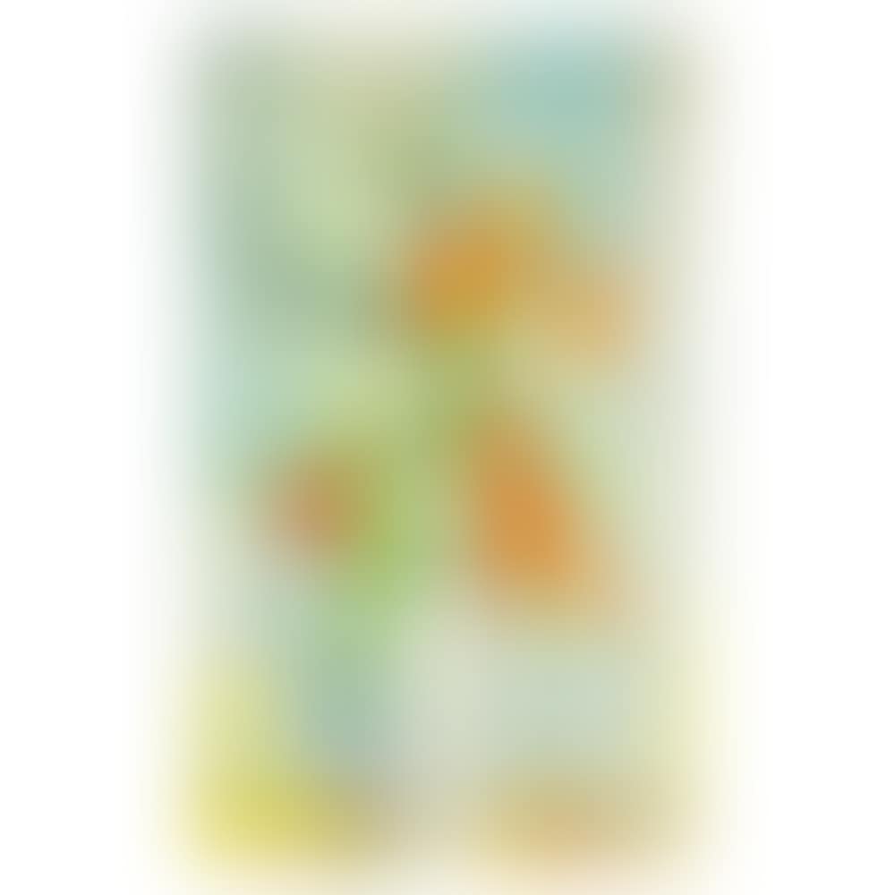 Les Tulipes Bouquet Blanches (preview)