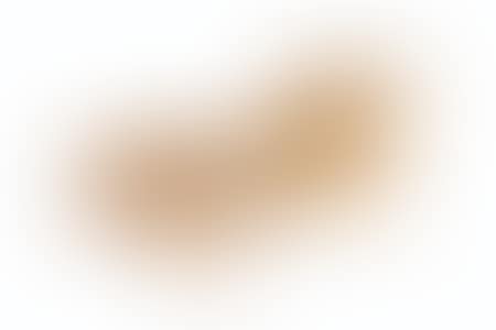 s Divan Created From a Single Split Pole of Kawayan Tinik (preview)