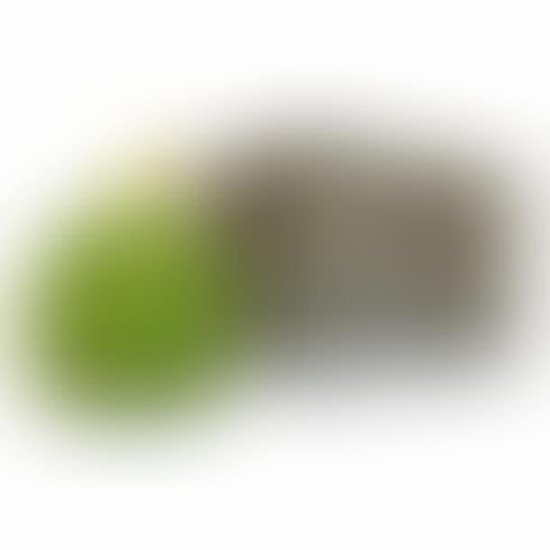Pumpkin (preview)