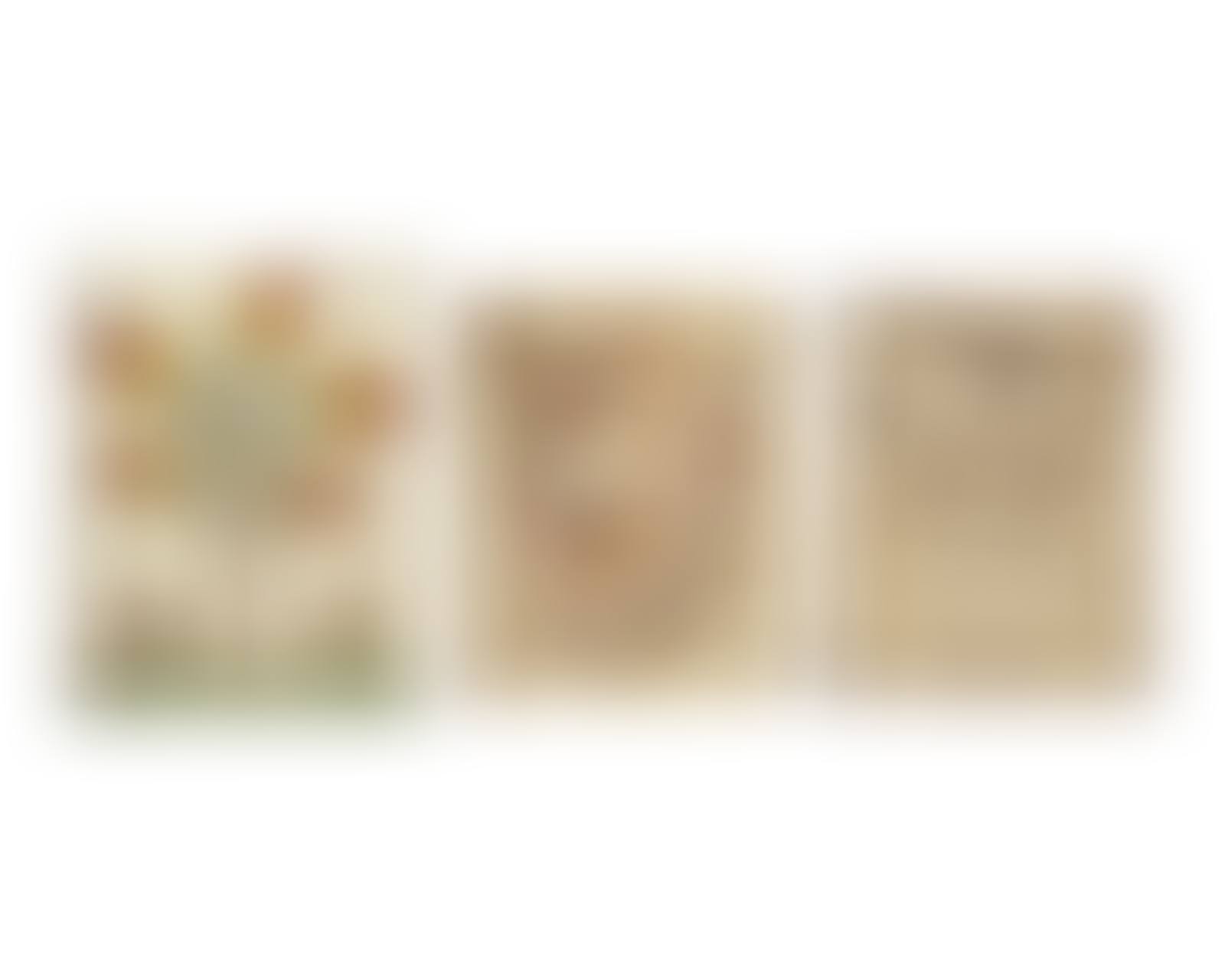 A Group of Three Fraktur Drawings or Rewards of Merit, Pennsylvania (preview)