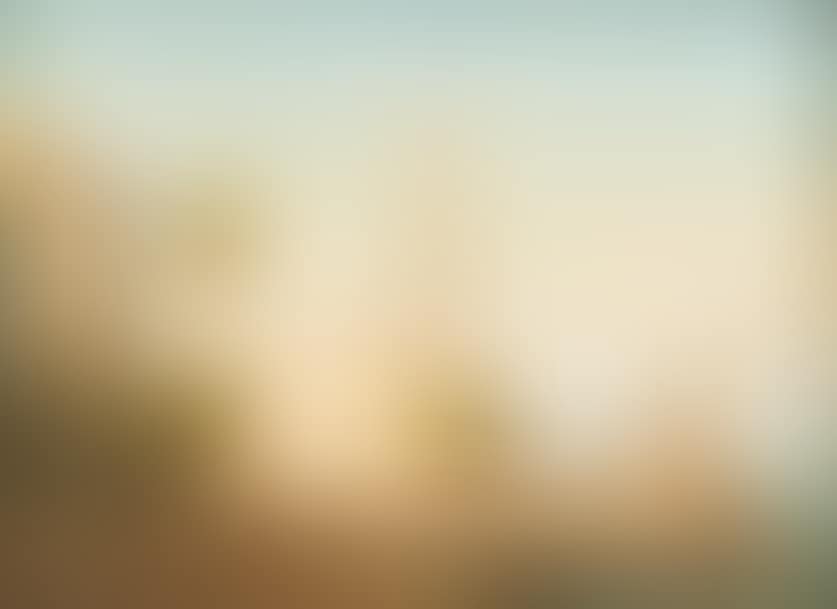 Orientalist animated landscape. (preview)