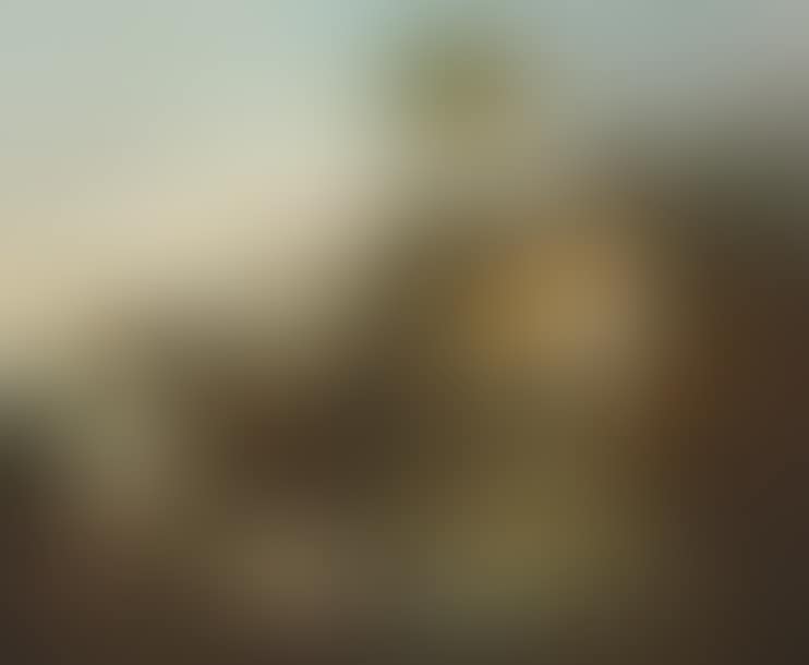  View of Campo Vaccino  (preview)