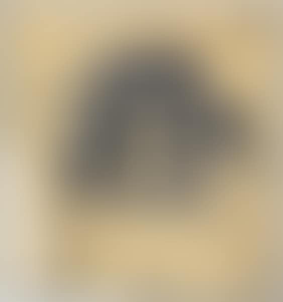 Tracing Paper Webster (preview)