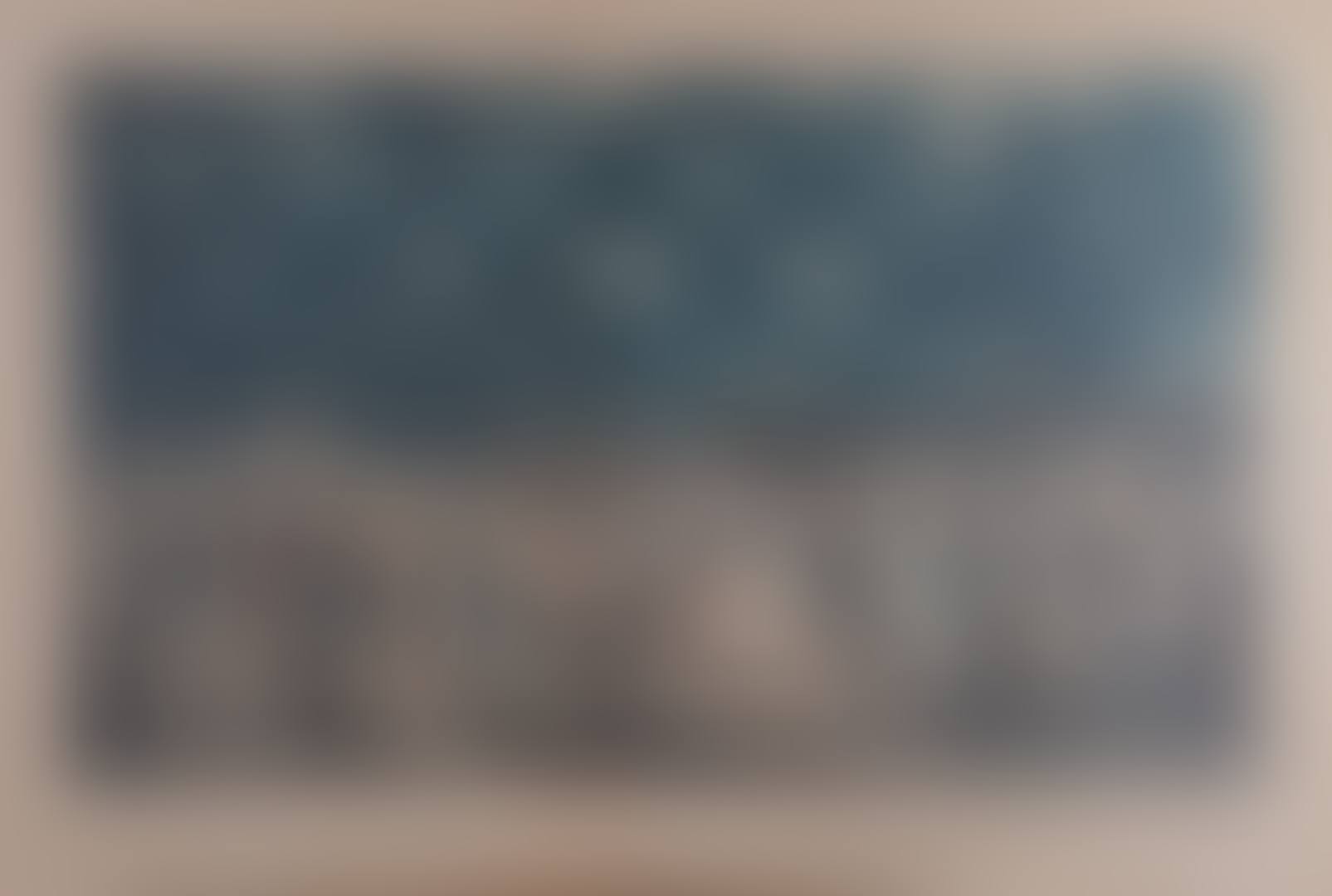 The public promenade (preview)