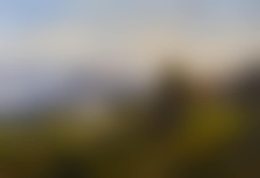 Animated landscape (preview)