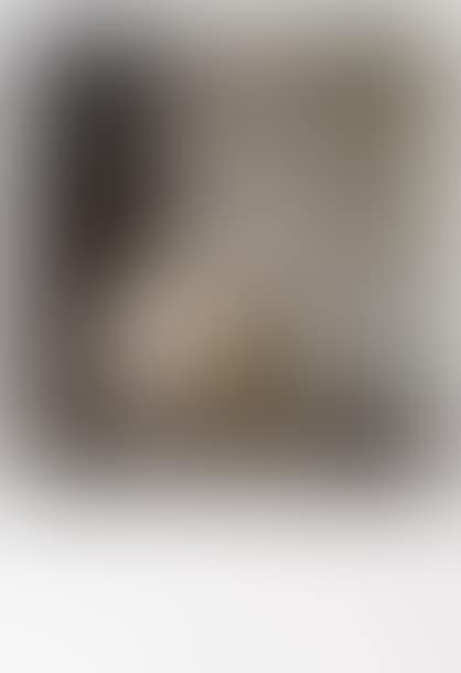 Schädel (preview)