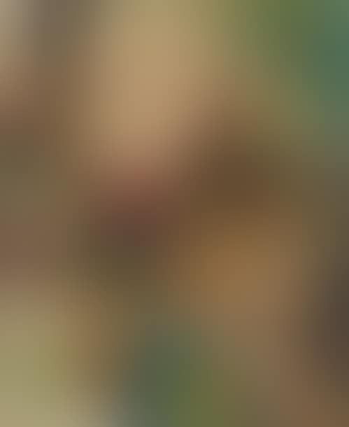 Portrait of Paul Verlaine (preview)