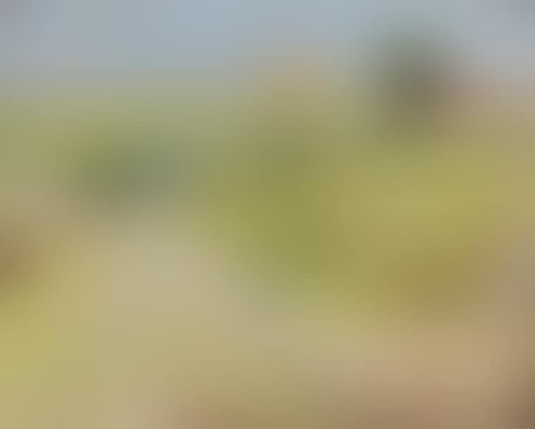 Path in the countryside (preview)