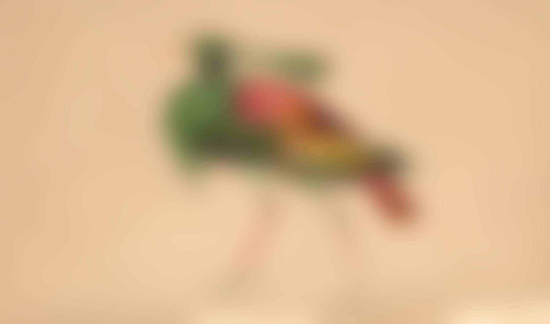 Oiseau de paradis (preview)