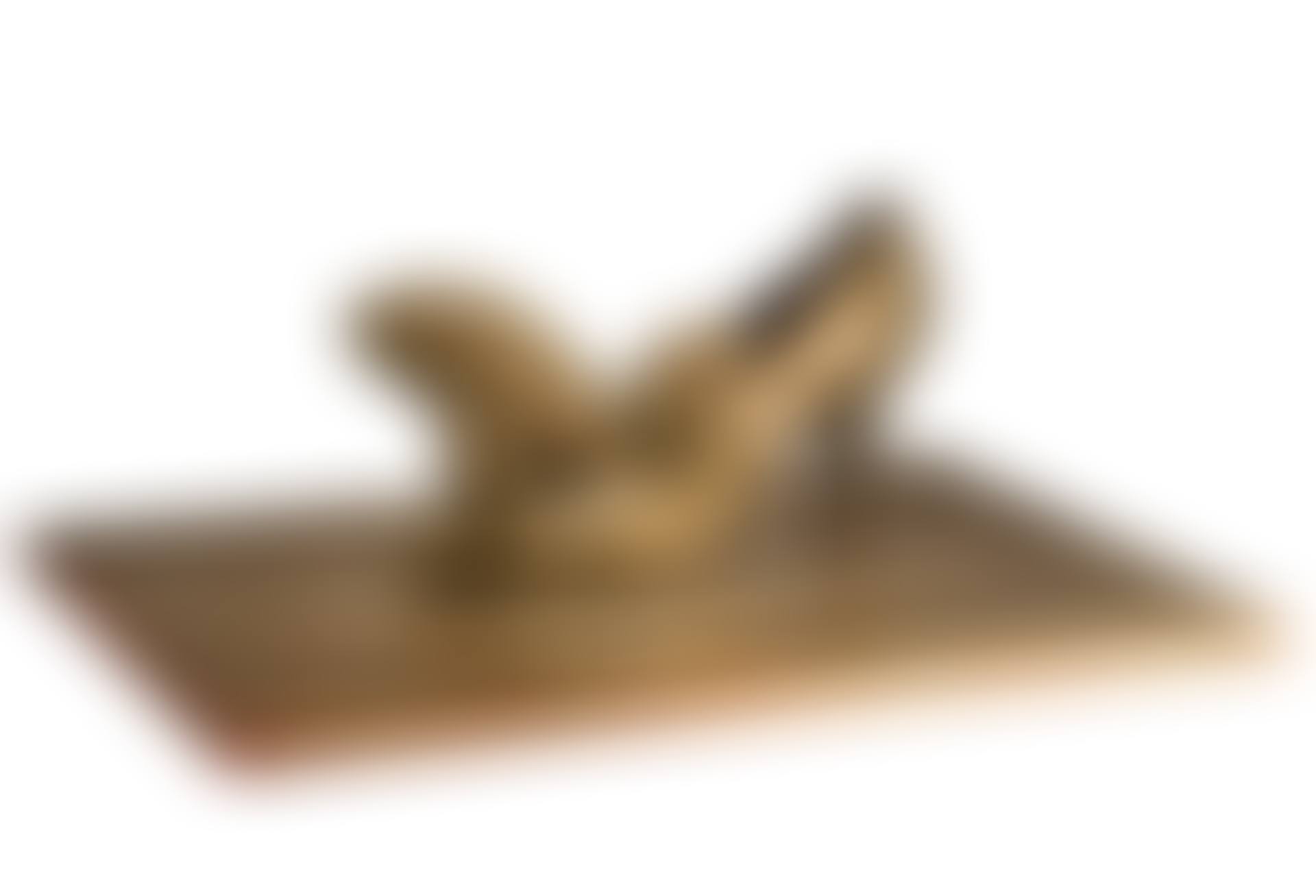 "Golden shoe with phallic form" (preview)