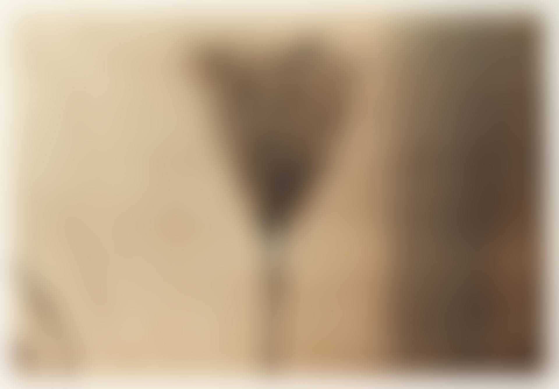 Genevieve 2000 (preview)