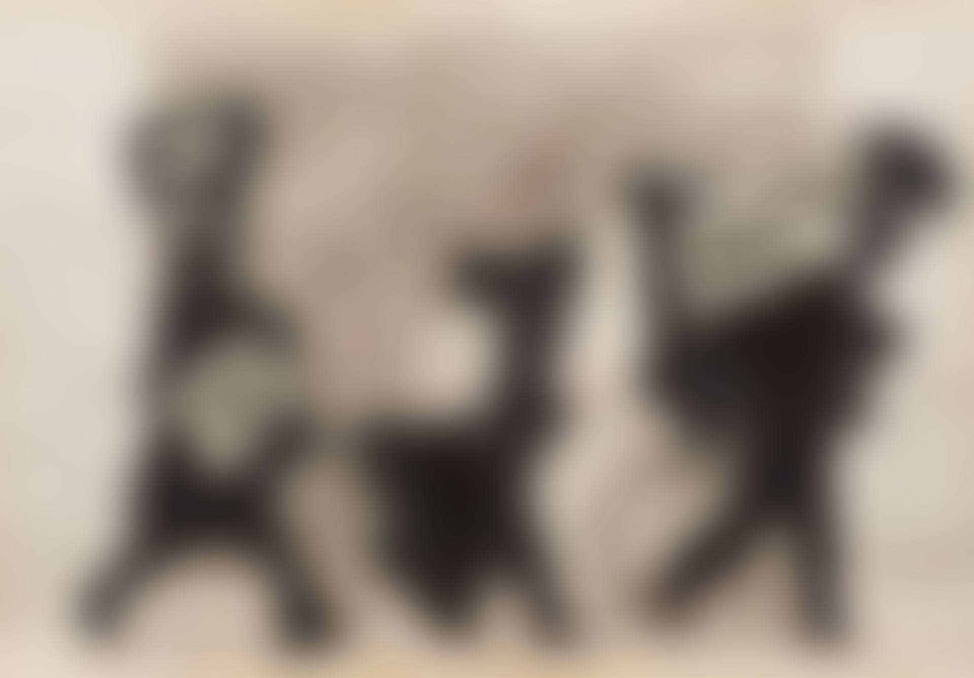 "Plant of the City of Naples" (preview)