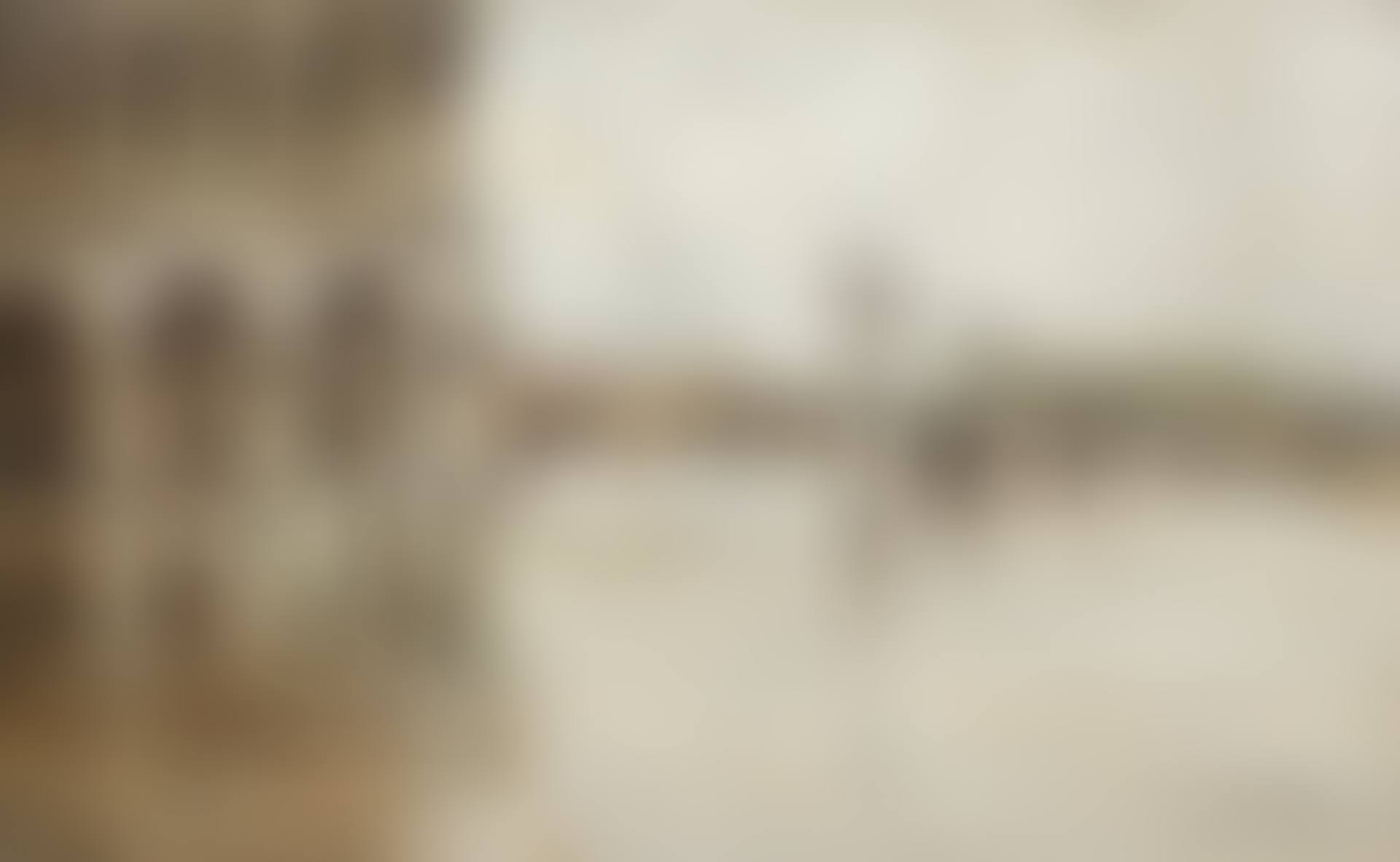 "Venice" (preview)