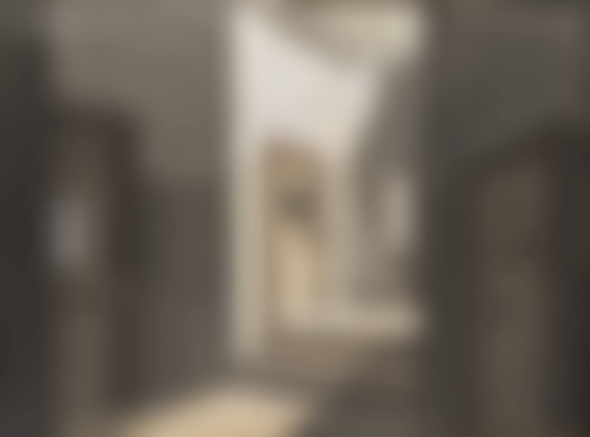 "The prisons" (preview)