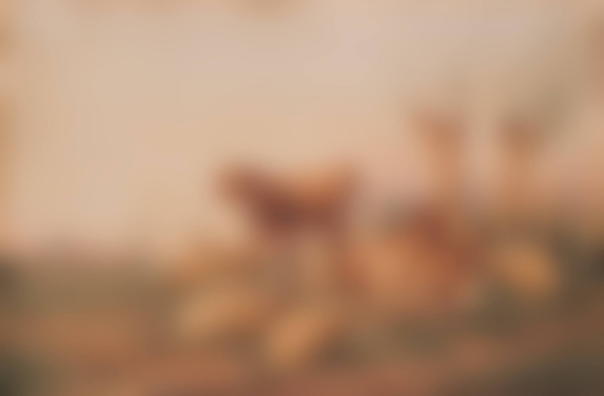 "Herds in the pasture" (preview)