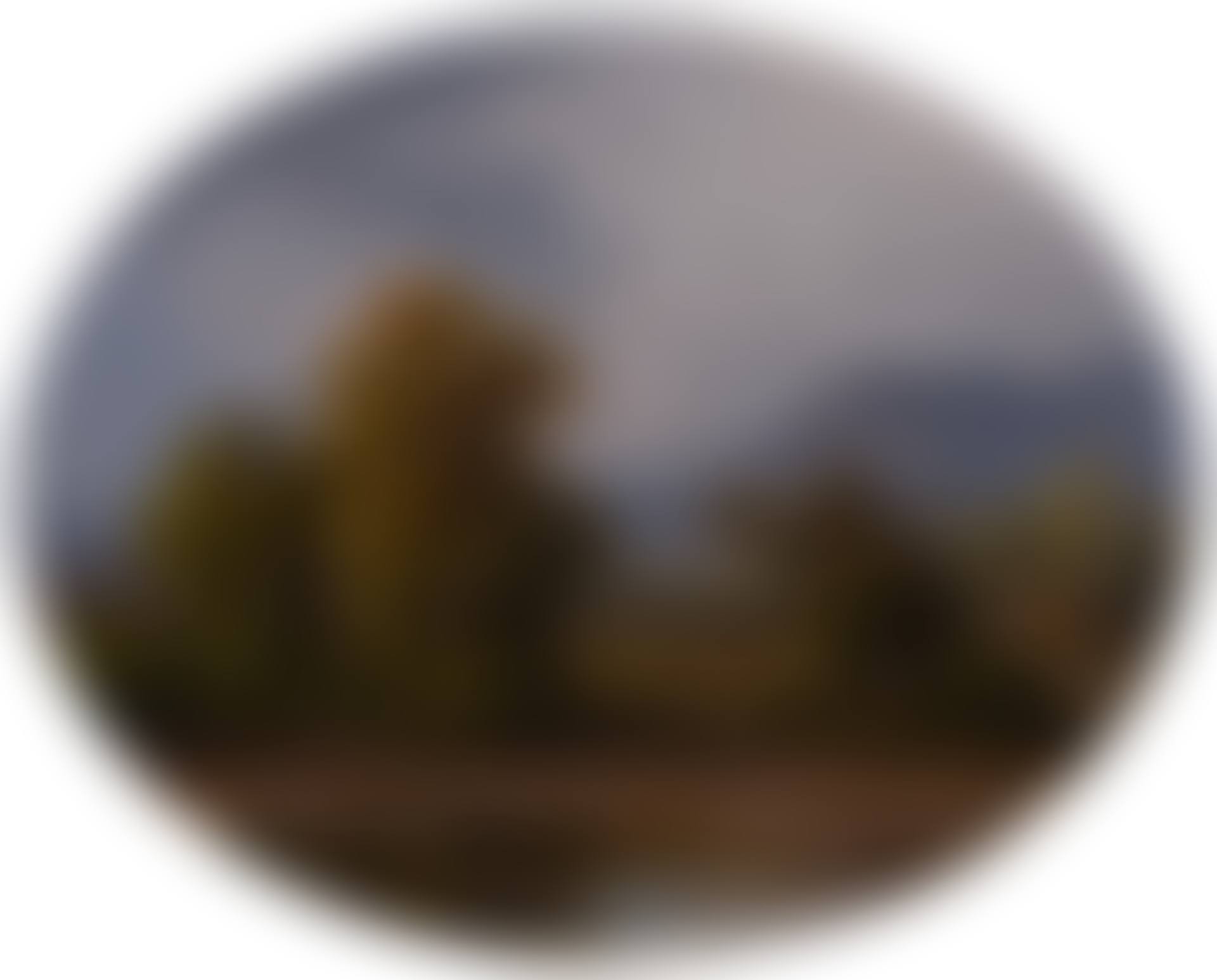 "Landscape" (preview)
