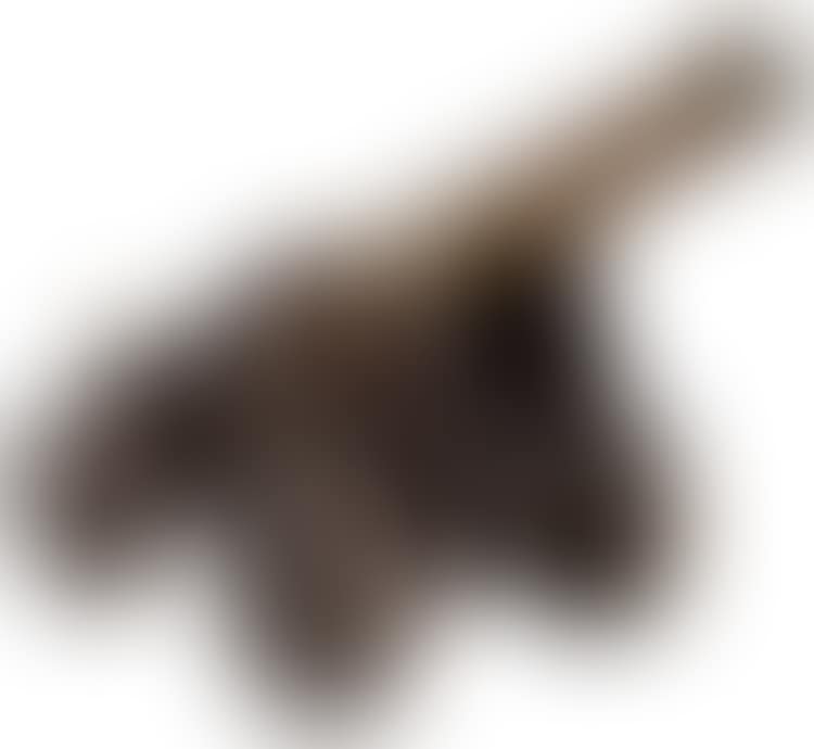 AMERICAN BRONZE CANNON (preview)