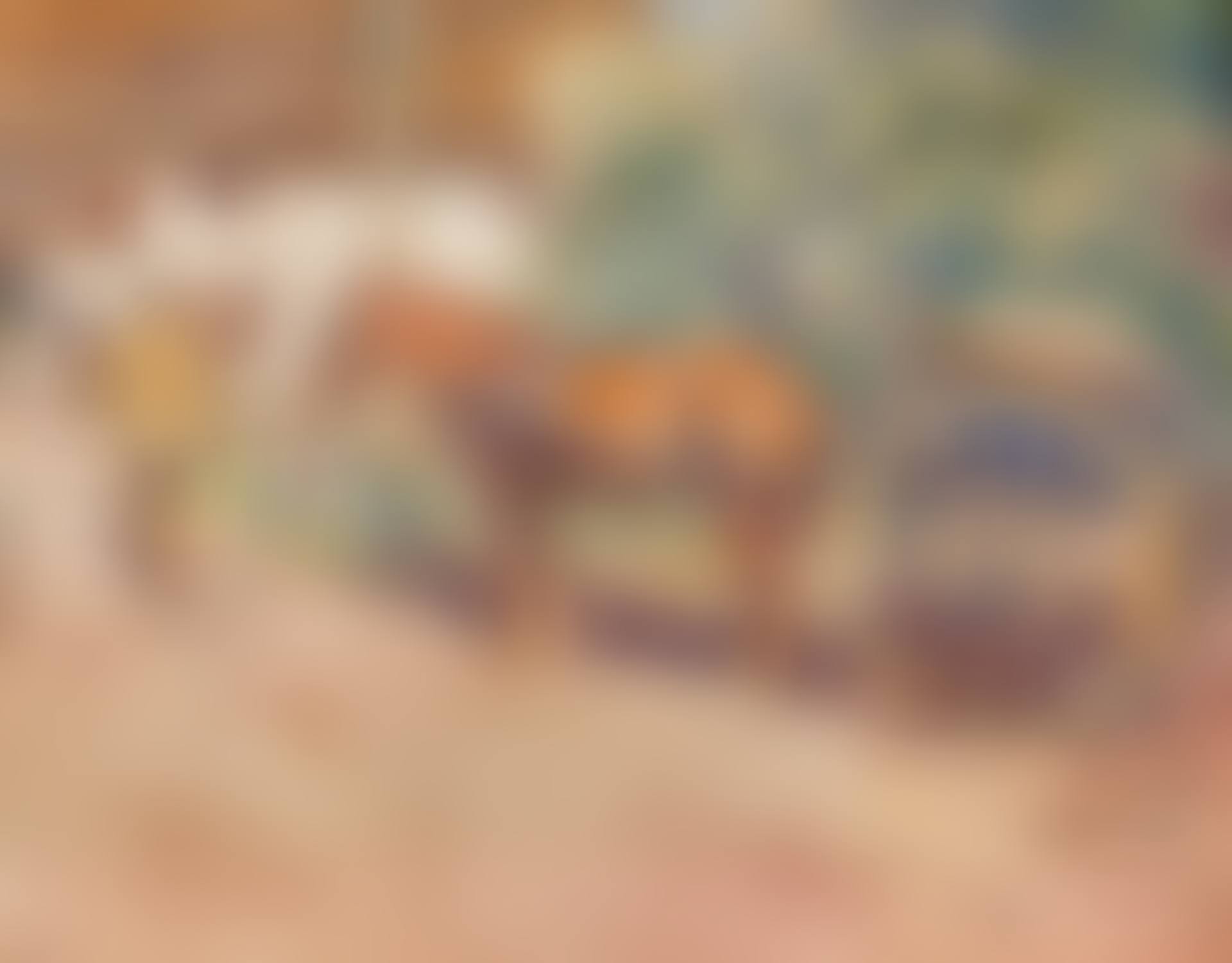 The Halfway House (preview)