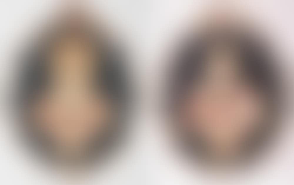 PAIR OF ITALIAN SHELL ASSEMBLED PORTRAITS (preview)