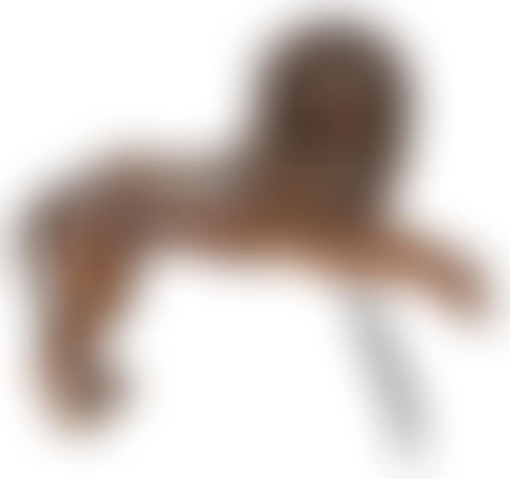 Carousel Lion (preview)