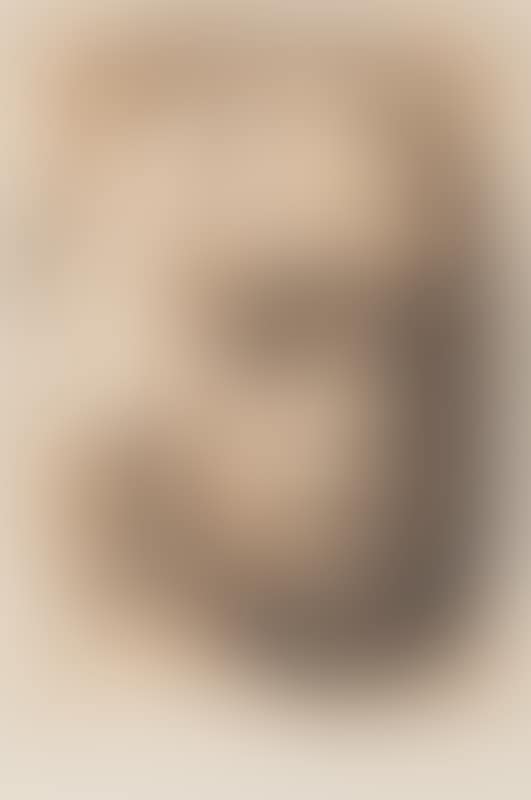 SELBSTBILDNIS (preview)