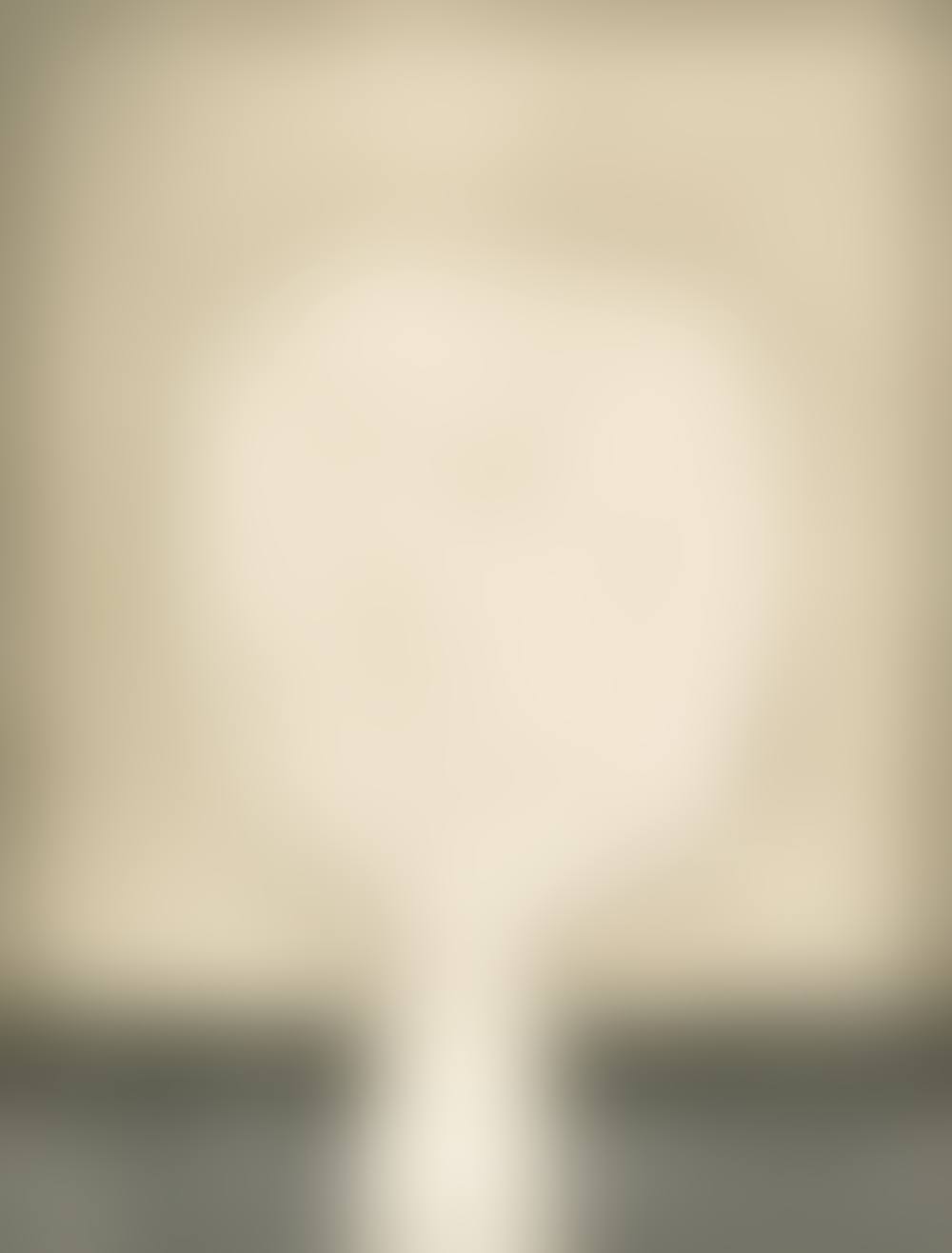 ABSTRACT FACE (preview)