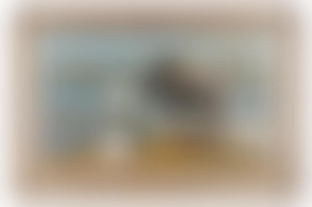 AQUACADE (preview)