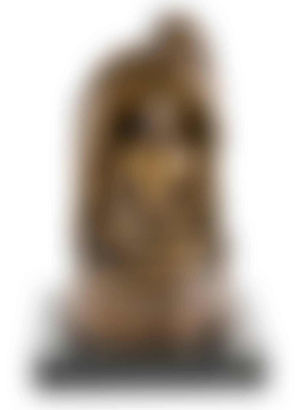 IDOL (preview)