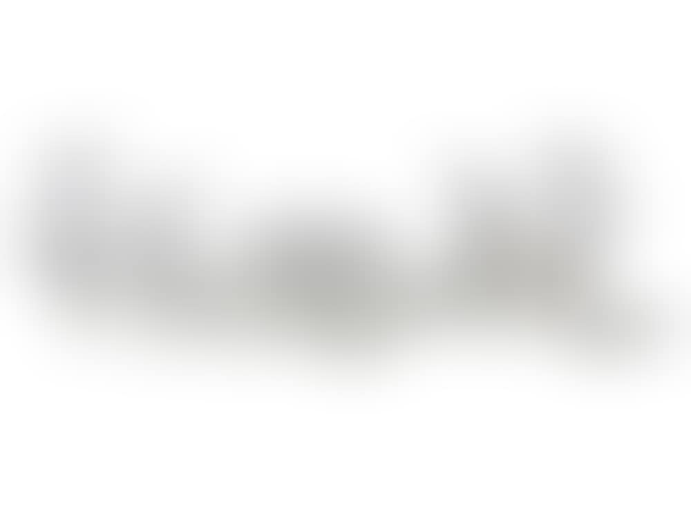 STEUBEN CRYSTAL SERVICE (preview)