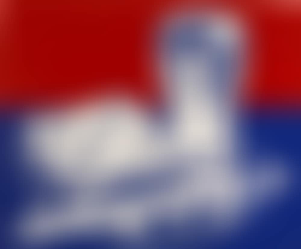 Sandwich and Soda (preview)